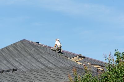Preventive Roof Care